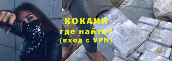 шишки Бабаево