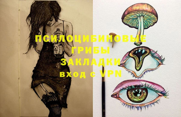 экстази Коряжма