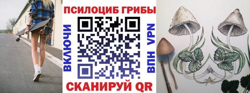 Купить  Давлеканово  Галлюциногенные грибы ЛСД 